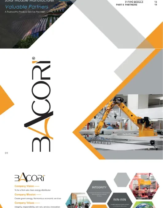 Paneles solares BACORI